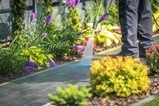 Animal Enclosure Cleaning in Diamond, IL